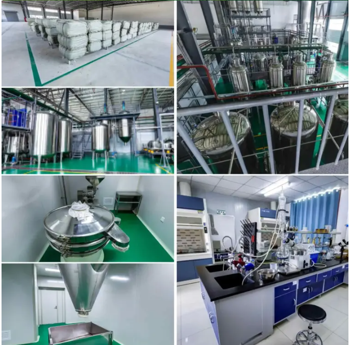 Shop 99% Purity DSIP Raw Powder with Stable Quality for Scientific Studies-Detailed Image 11