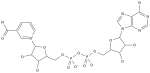 High Quality NAD+ Research Compound for Experimental Laboratory Use - Image 7