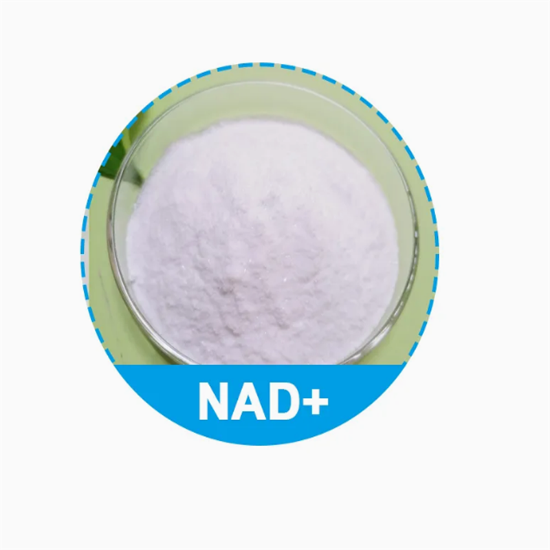 Shop CAS 53-84-9 Painless Buffer Nad IV Products Supplement Peptides 500mg 1000mg for Anti Aging-Detailed Image 3