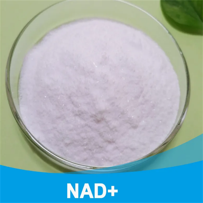 Shop CAS 53-84-9 Painless Buffer Nad IV Products Supplement Peptides 500mg 1000mg for Anti Aging-Detailed Image 2