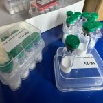 Semaglutide, the Active Ingredient in Ozempic and Wegovy, Is Transforming Metabolic Healthcare.