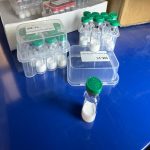 Premium Research Grade Semaglutide Peptide for Metabolic and Weight Management Applications