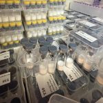 It Is Clinically Used To Enhance Immune Competence And Support Recovery In Conditions Of Immunodeficiency Or After Severe Illness. - Image 5