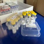 It Is Clinically Used To Enhance Immune Competence And Support Recovery In Conditions Of Immunodeficiency Or After Severe Illness. - Image 6