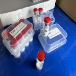 Tirzepatide High Purity Dual GLP-1 and GIP Receptor Agonist Peptide for Research Use - Image 4