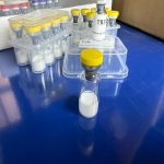 Tirzepatide High Purity Dual GLP-1 and GIP Receptor Agonist Peptide for Research Use - Image 6