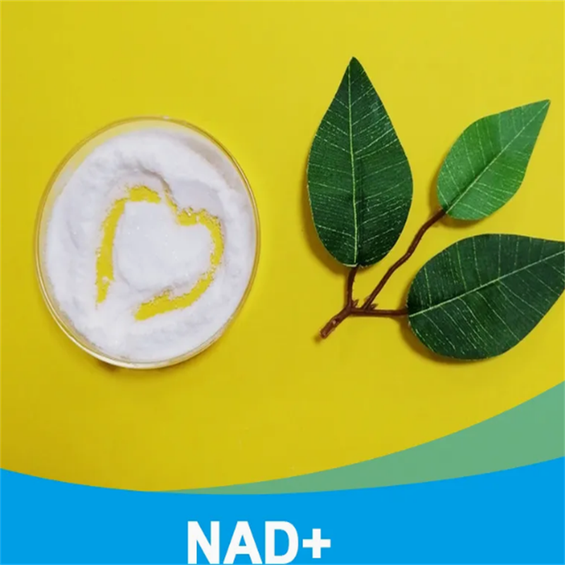 Shop CAS 53-84-9 Painless Buffer Nad IV Products Supplement Peptides 500mg 1000mg for Anti Aging-Detailed Image 4